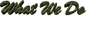 Whatwedotitle.gif (7573 bytes)