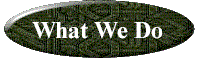 whatwedo2.gif (4915 bytes)